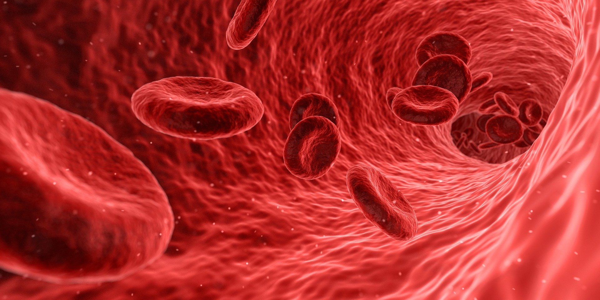 Un bilan sanguin préventif – Protéomis